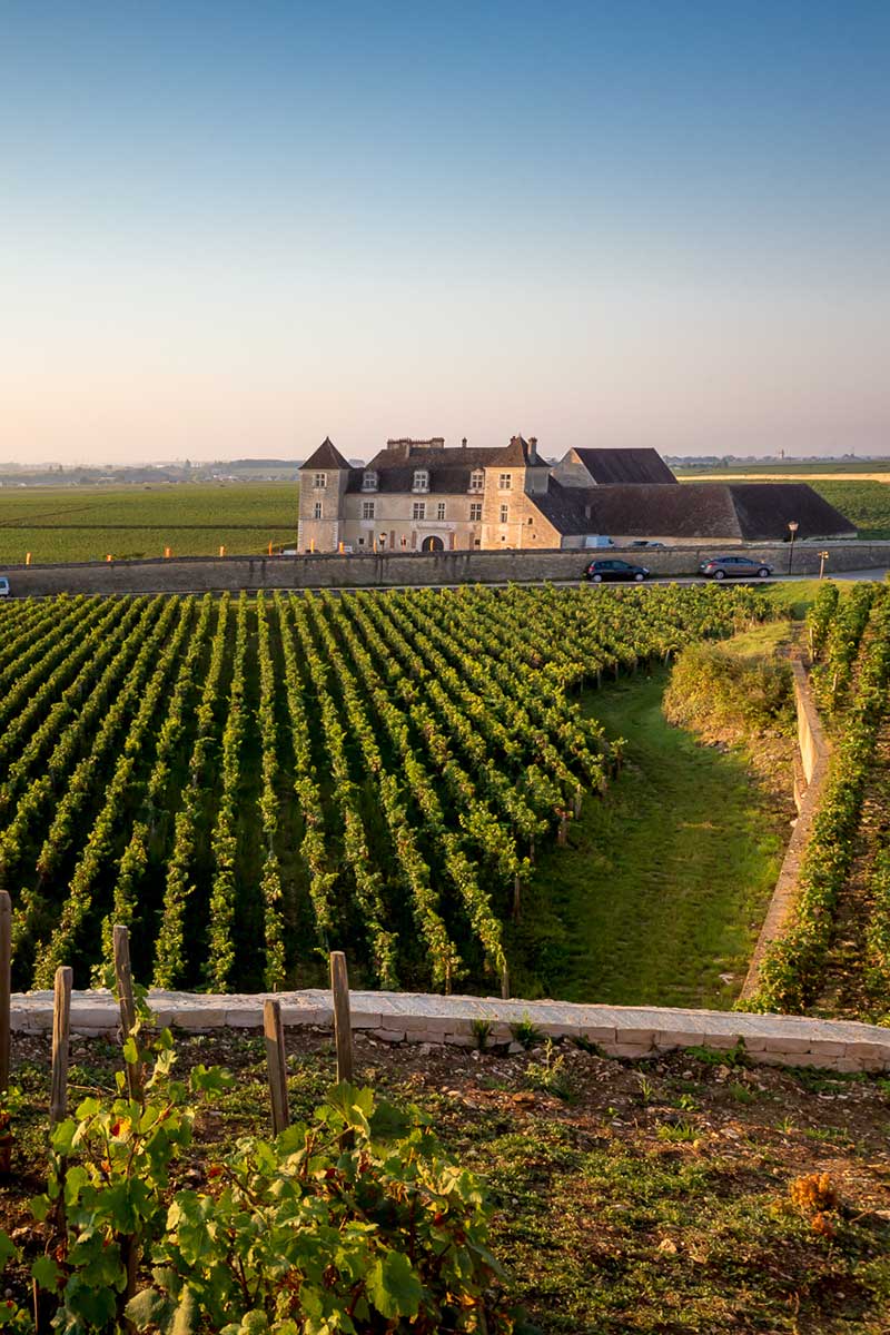 Le château du Clos de Vougeot au cœur des vignes de la Côte de Nuits