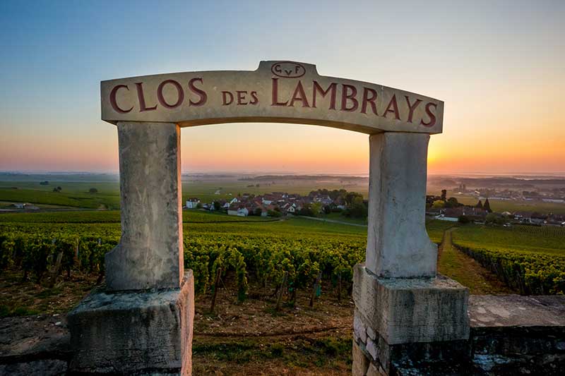 Le Clos des Lambrays, grand cru de la Côte de Nuits