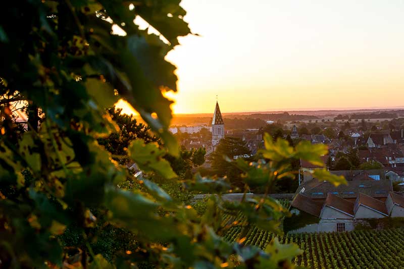 La ville de Nuits-Saint-Georges au coucher du soleil