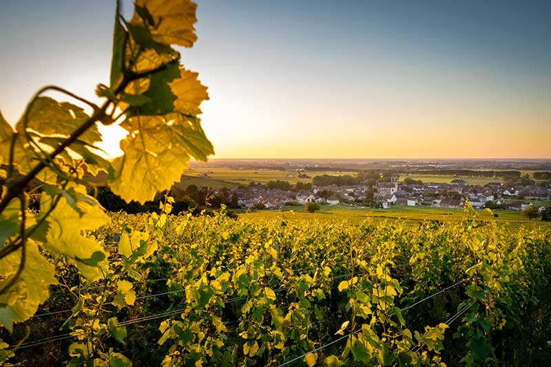 Le village et le château de Pommard